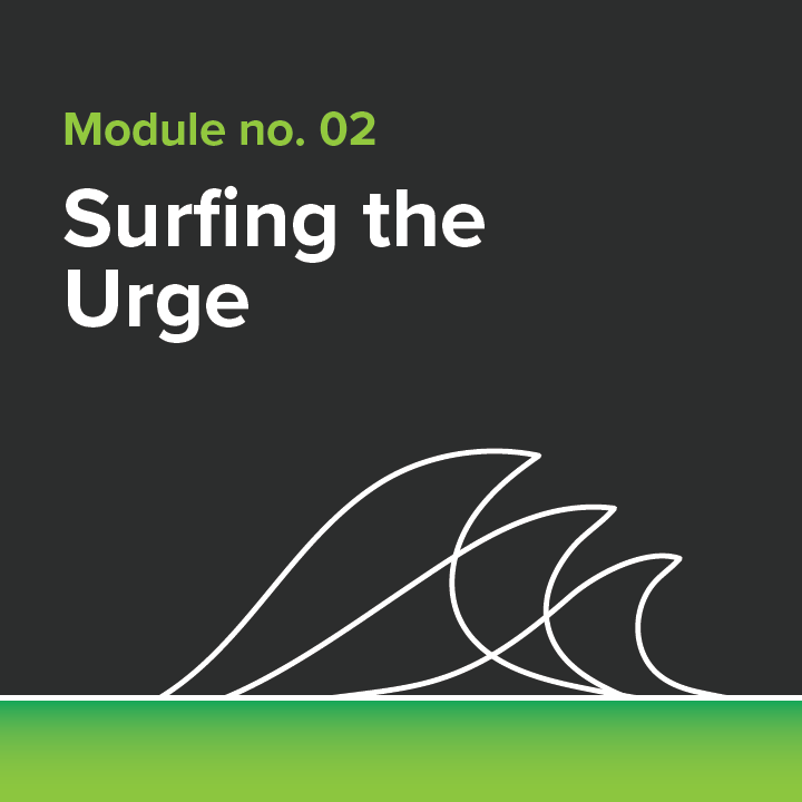 #2 Surfing the Urge